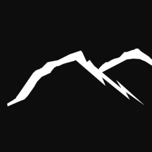 P.S. Electric LLC logo