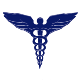 Straun Health & Wellness logo