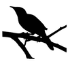 Morning Song Playgarden logo