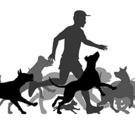 K9 Lounge logo