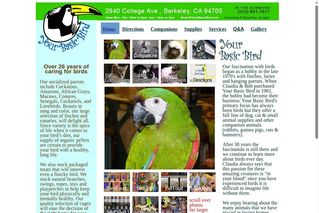 Your Basic Bird cover