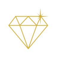 Spoiled Aesthetics logo