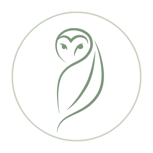 Noctua Aesthetics logo