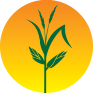 Healthy Harvest Food Bank logo