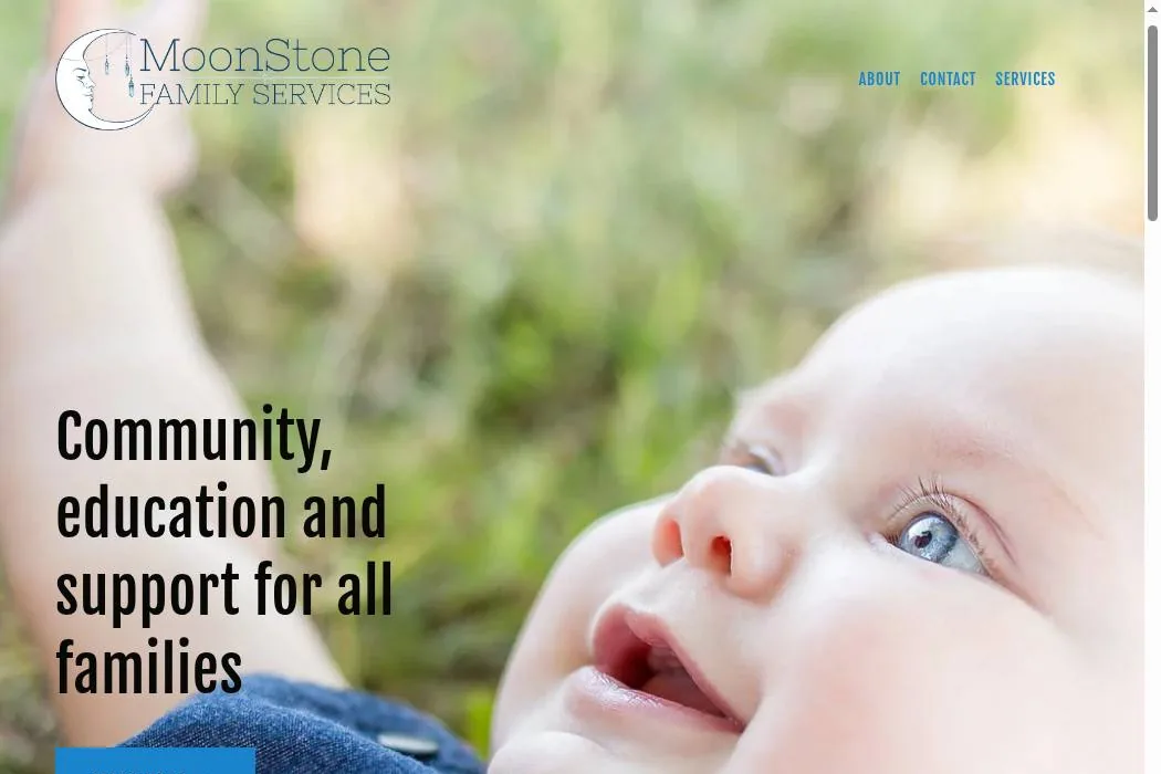 Moonstone Family Services cover