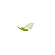 Wellmore Behavioral Health logo