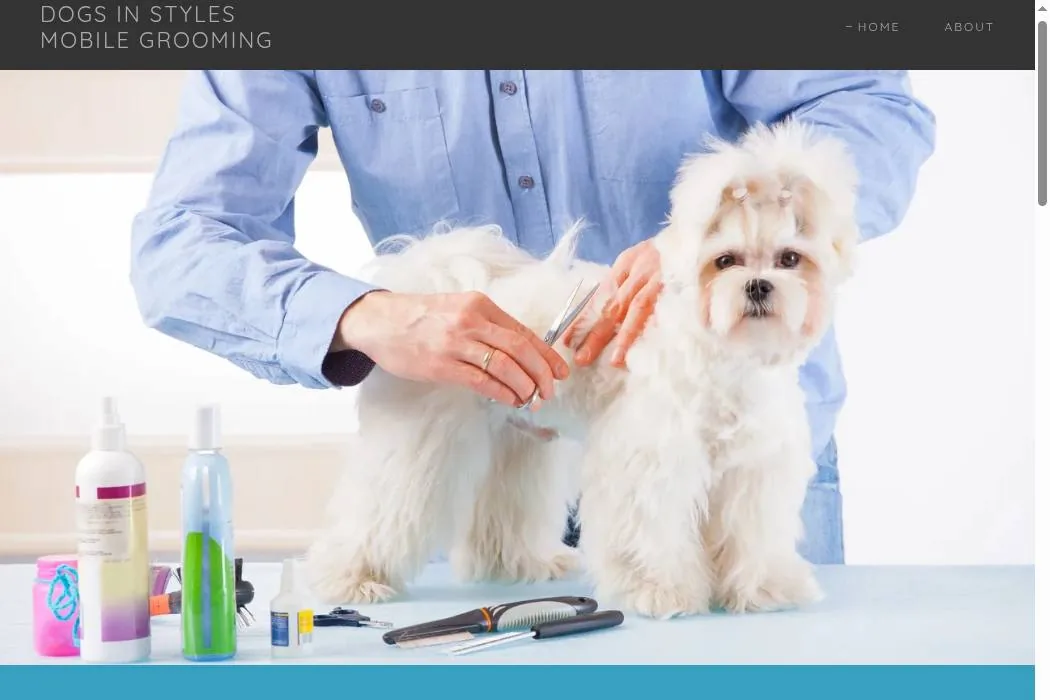 Dogs In Styles Mobile Grooming cover