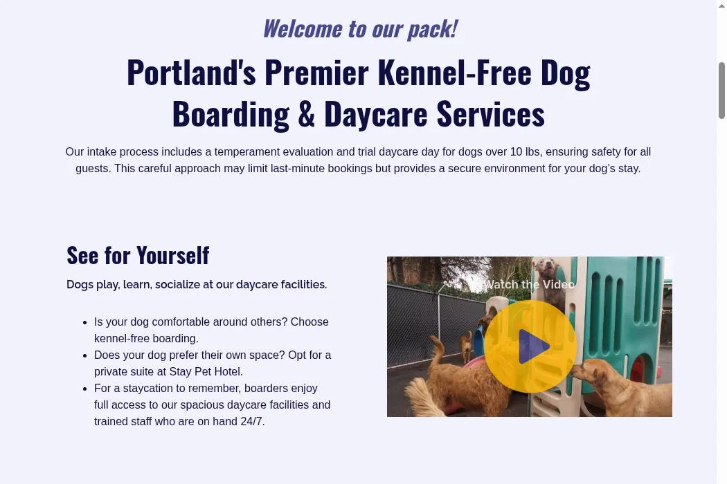 3 Dogs & Stay Pet Hotel cover