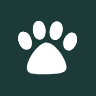 Jesse Walks Far logo
