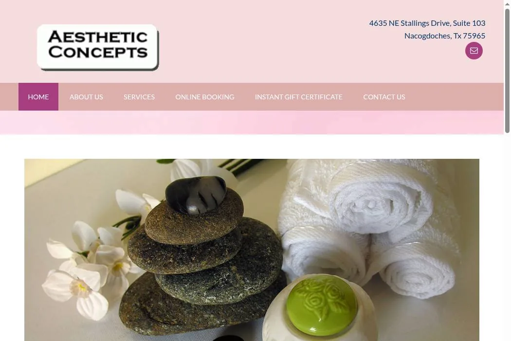 Aesthetic Concepts cover