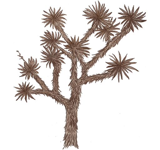 Joshua Tree Counseling logo