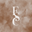 Flawless Skin Center logo