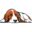 Basset Home Services logo