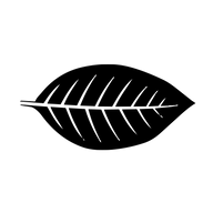 Casablanca Cigar Bar logo