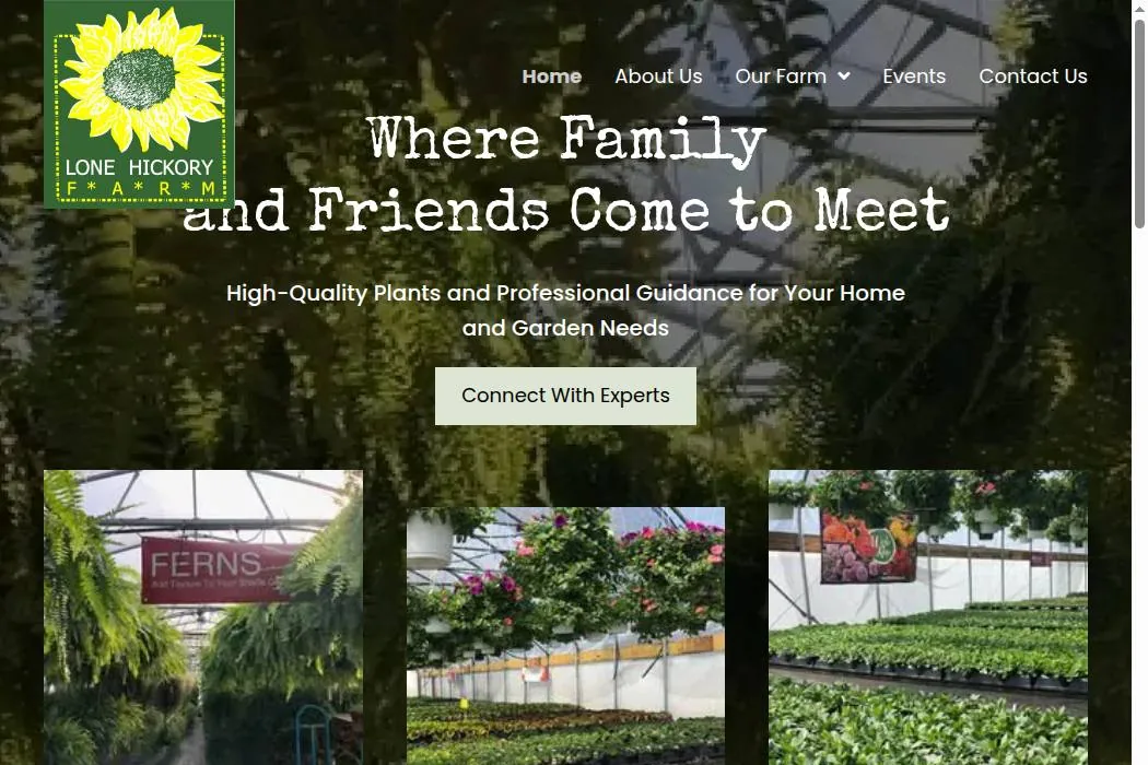 Lone Hickory Farm cover