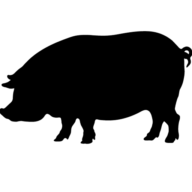 Jim 'N Nick's logo