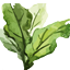 Rooted on King logo