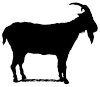 The Goat logo