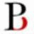 The Brian Petrelli Team logo