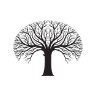 Mustard Seed Financial & Insurance logo