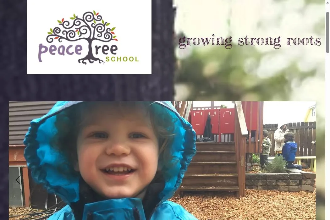 Peace Tree School cover