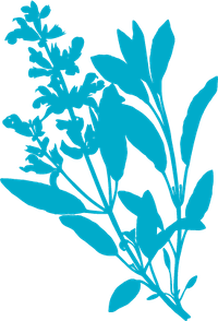 Rylexa Properties logo