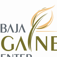 Baja Ibogaine Center logo