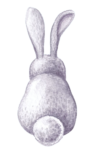 Cottontail Property Management logo