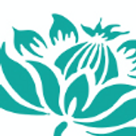Las Vegas Laser Services LLC logo