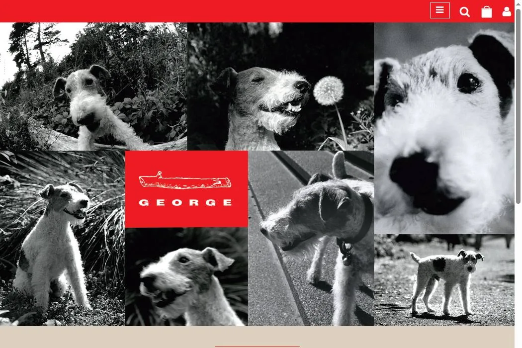 GEORGE cover