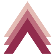 Elevate Medical Aesthetics logo
