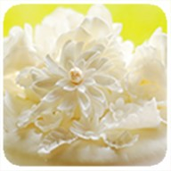Farm to Cake Bakery logo
