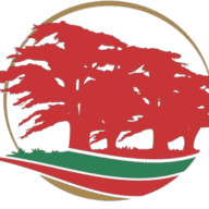 Spring Creek Baptist Church logo