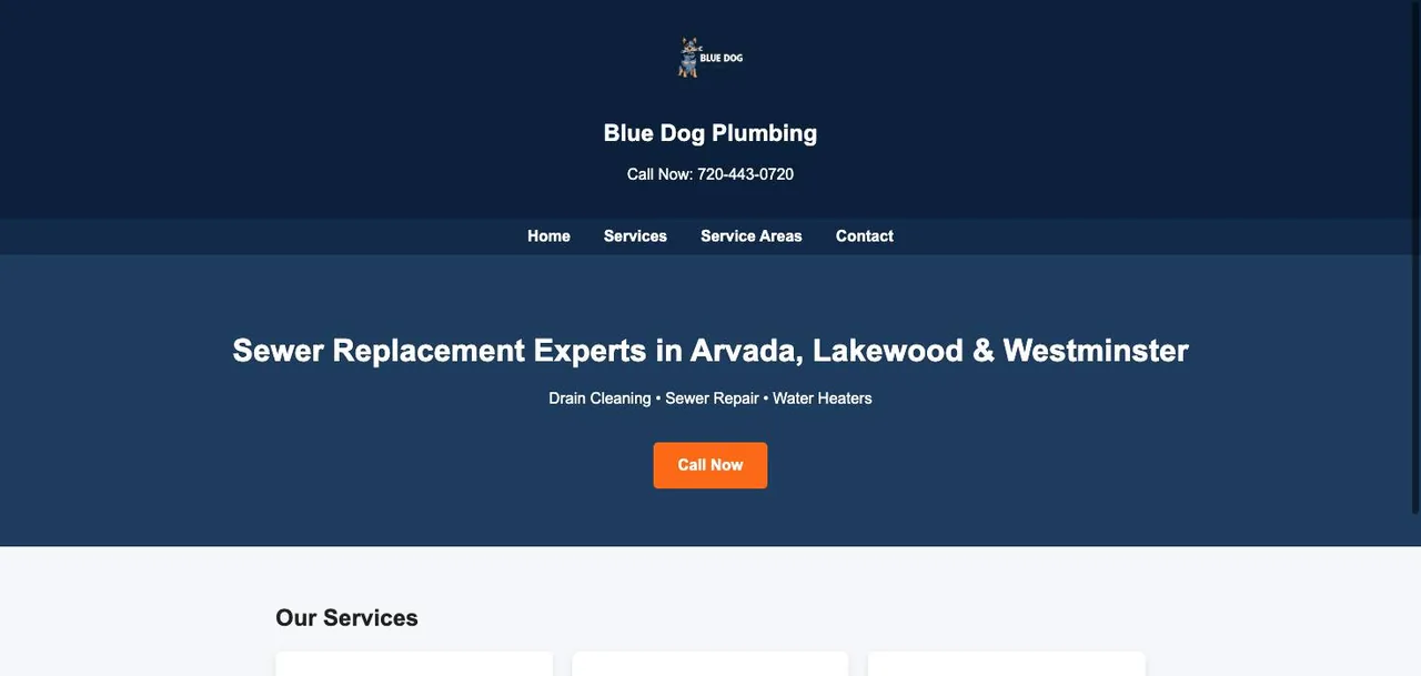 Blue Dog Plumbing cover