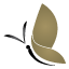 MD Boutique logo