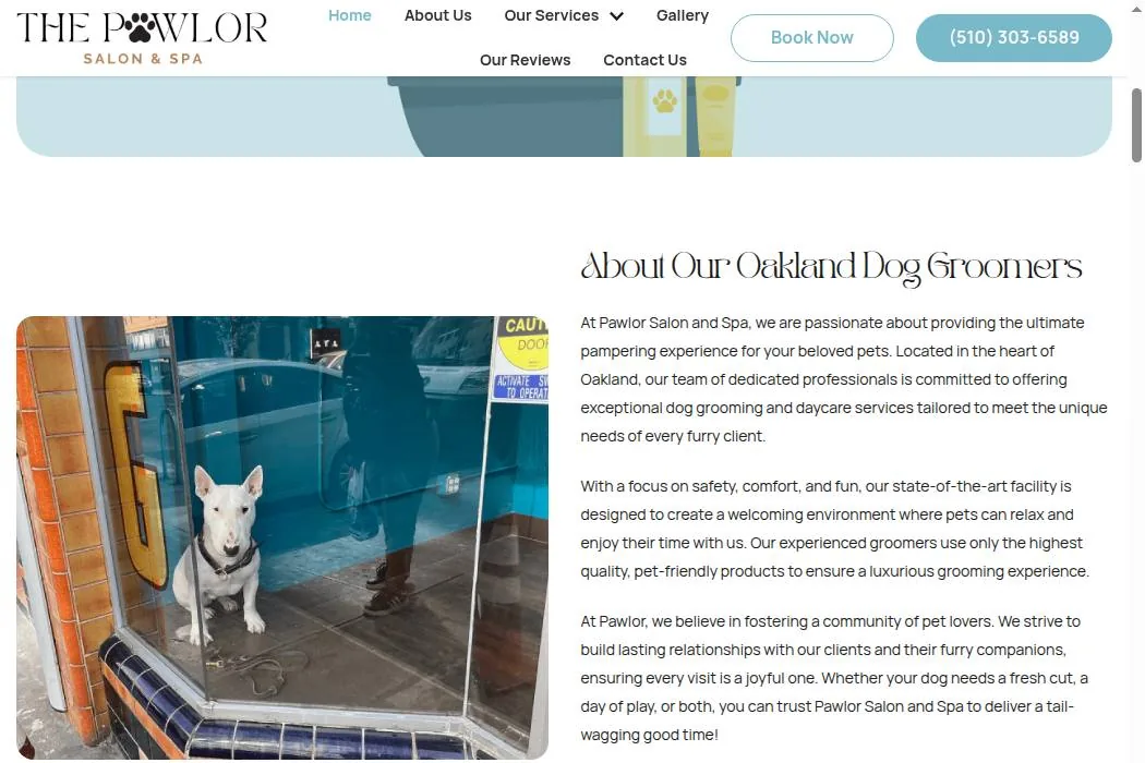 Pawlor Salon and Spa cover