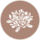 Genys Flowers logo