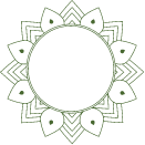 Emerald Med Spa logo
