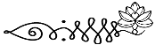 MontenegroMFT logo