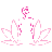 Grace MedSpa & Body Solutions logo