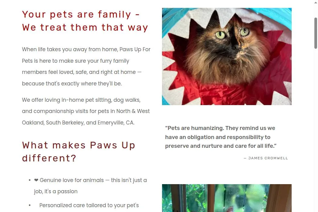 Paws Up for Pets cover