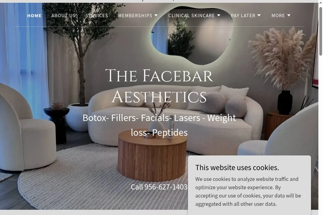 The Facebar Aesthetics cover
