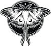 Nocturnal Brewing Company logo