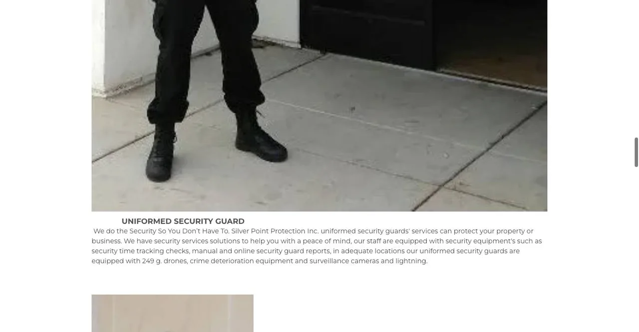 Silver Point Protection Inc. cover