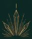 Raya Wellness Care & Medical Spa logo
