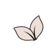 vellanovawellnessbeauty-com logo