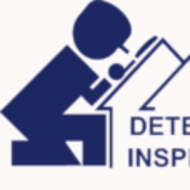 Detect and Inspect LLC logo