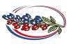 Bluebonnet Cooling & Heating LLC logo