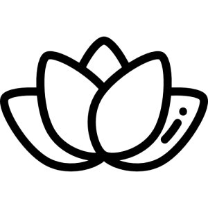Lily Nails logo