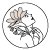 Ritual Aesthetics and Wellness logo